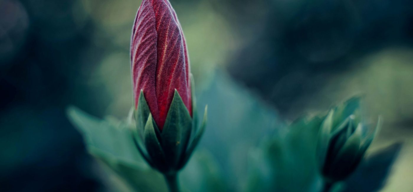 Emotional Maturity = Spiritual Maturity?
